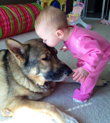 Kiss for the dog! *Bilder statt Worte*